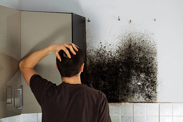 Best Residential Mold Removal  in Sweet Home, AR